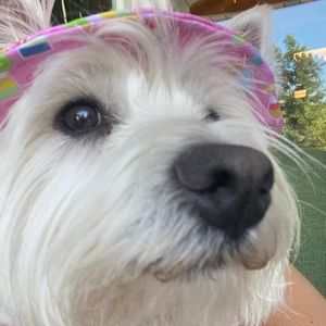 Meet your Posher, Mariah